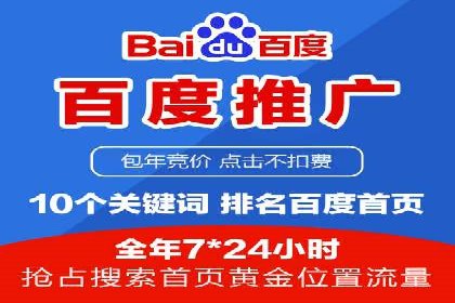 SEM运营公司案例研究：优化广告投放策略